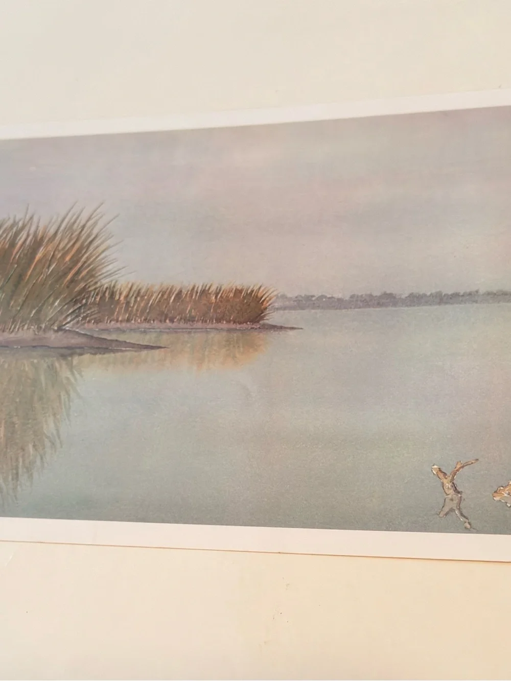 Lithography art of many